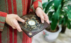 22fac59d02bba739f9d3fe1ebce9da 5493 3035 1548927665